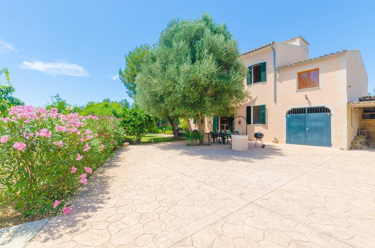 Villa Hort De Bou